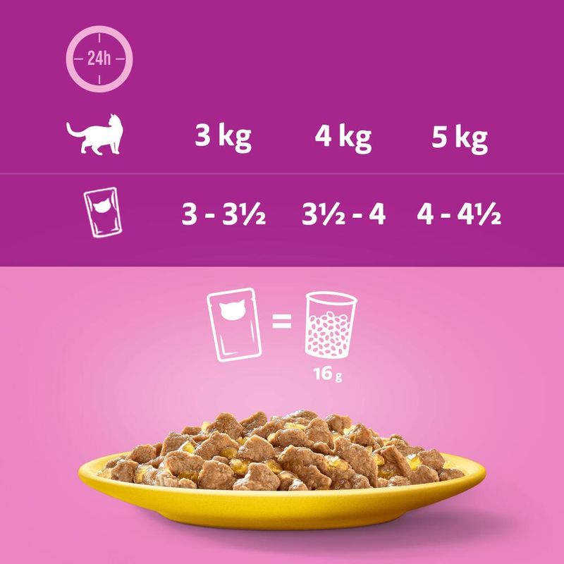 Whiskas Senior 12 x 85 g