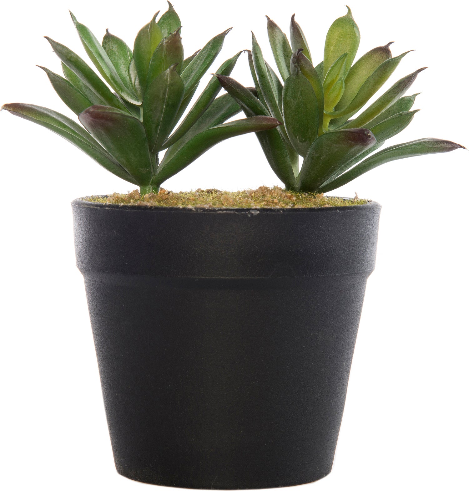 Intratuin kunstplant vetplant D 9 H 12 cm