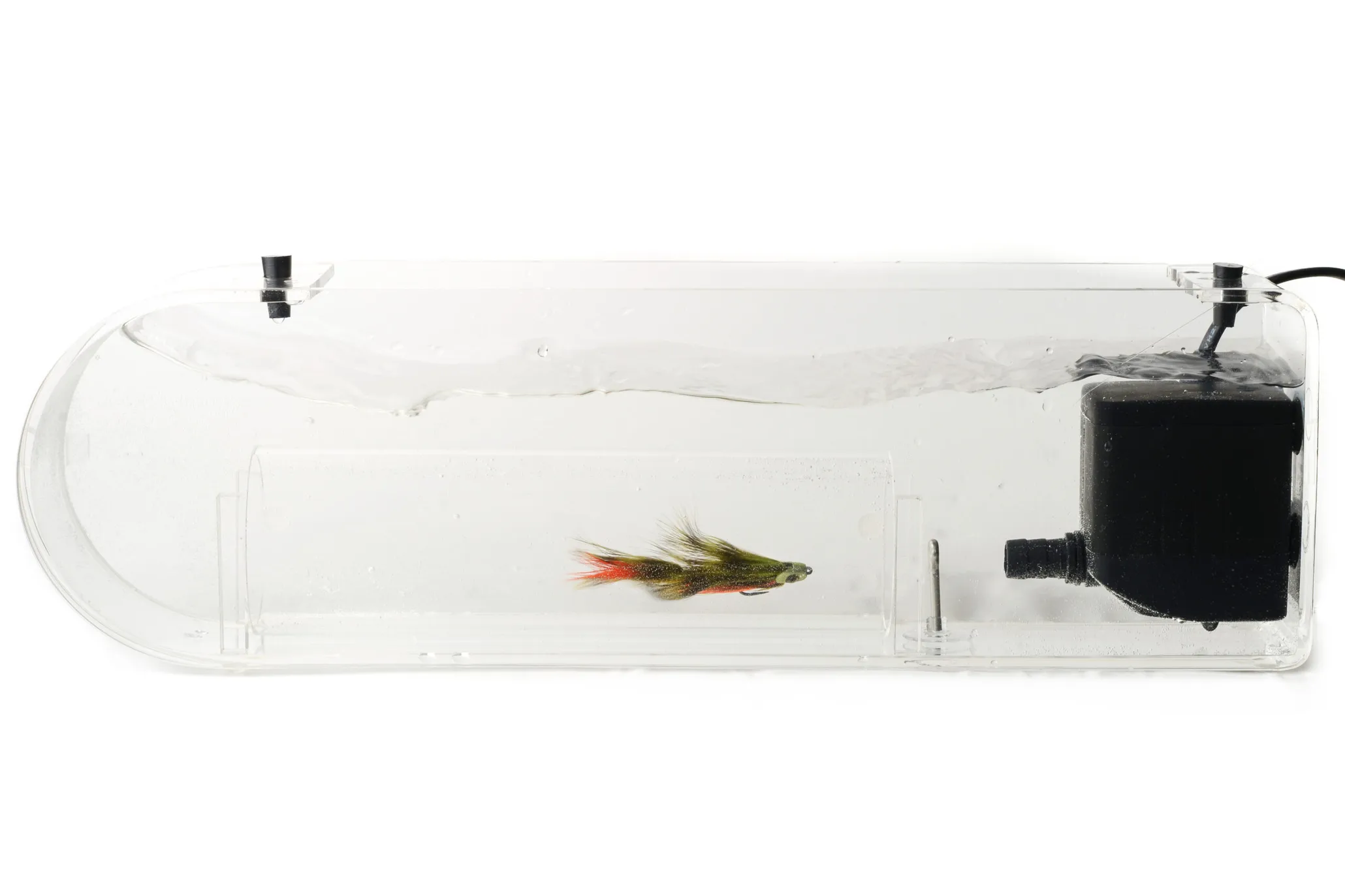 Fish-Skull Fish-Skull Flytester Test Fluene Dine I Strømmende Vann