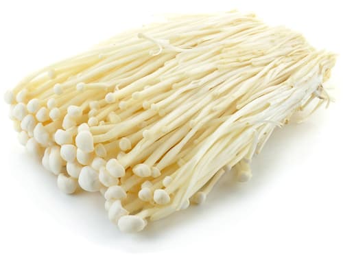 Enoki Pilz, Schale