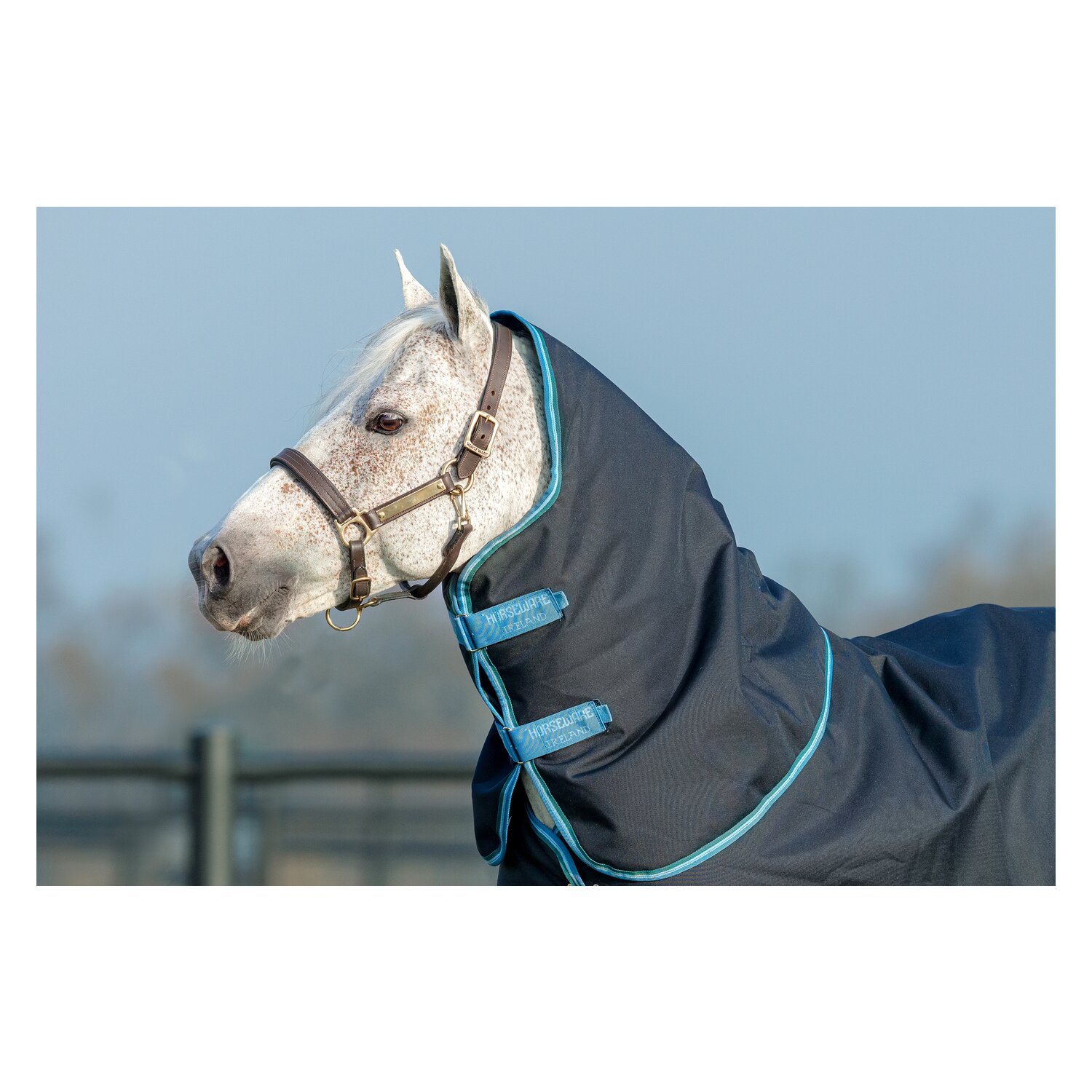 Horseware Halsteil AMIGO Bravo 12 Lite - navy/turquoise/check
