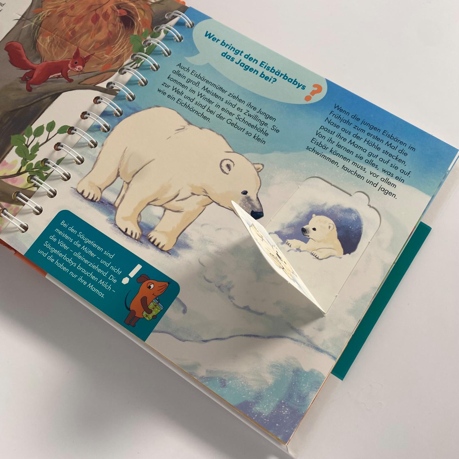 Frag doch mal ... die Maus / Frag doch mal ... die Maus: Tiere und ihre Familien