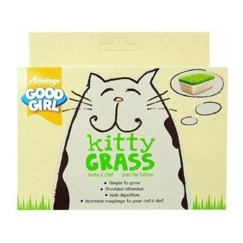 Catnip com sabor natural
