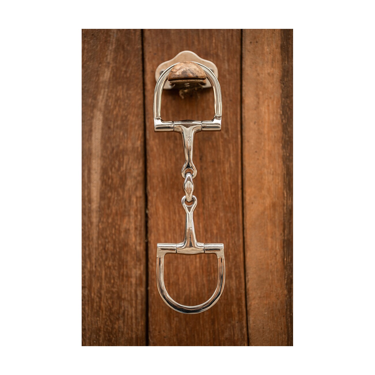 Equinate D-Ring Trense Edelstahl 16mm doppelt gebrochen 1,6 cm 12,5 cm