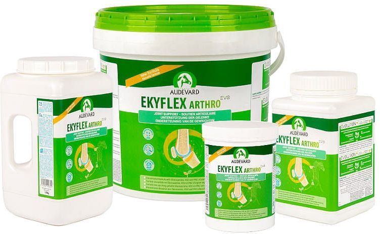 Audevard - Ekyflex Arthro EVO - Dierensupplement - Gewrichtsondersteuning