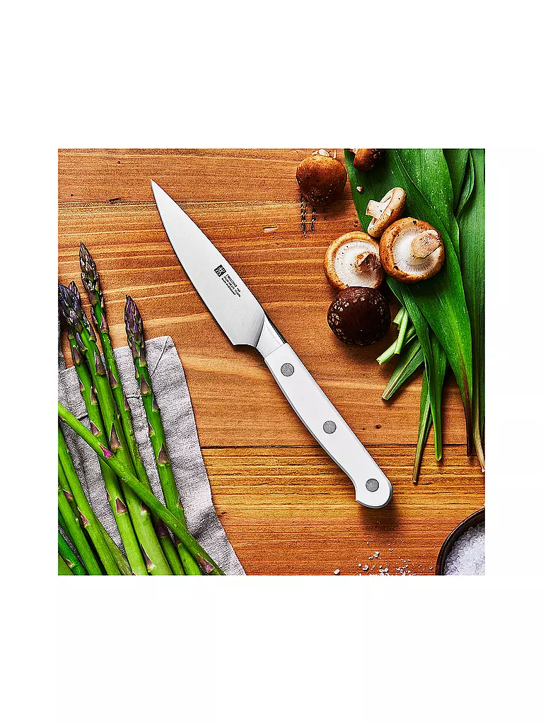 ZWILLING Spickmesser 10cm PRO LEBLANC Weiss weiss