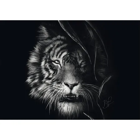 Schmidt Spiele Puzzle - Wilderness, Tiger, Im Zeichen der Freiheit, 1000 Teile