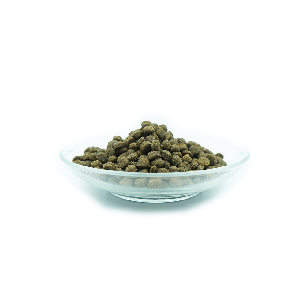 Set économique pour chats atteints de pancréatite
