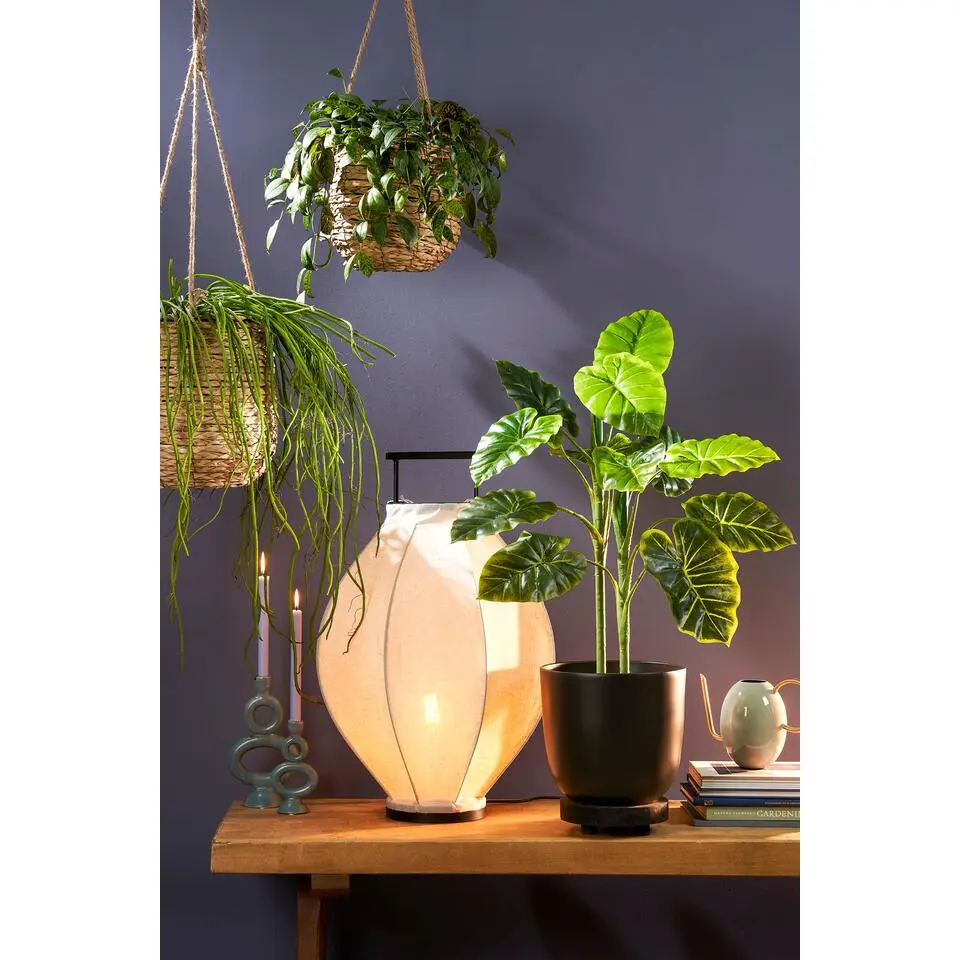 Mica Decorations Planten/bloempot Tusca - Zwart - D28/H25 cm