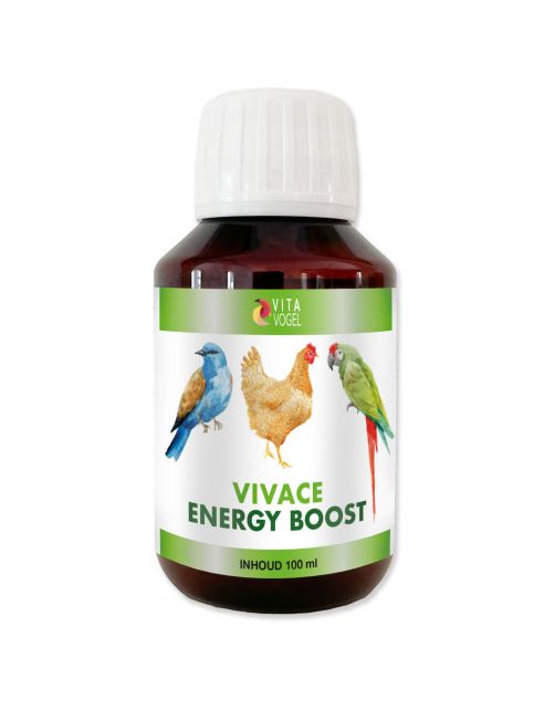 Vita Vogel Vivace Energy Boost - Vogelsupplement