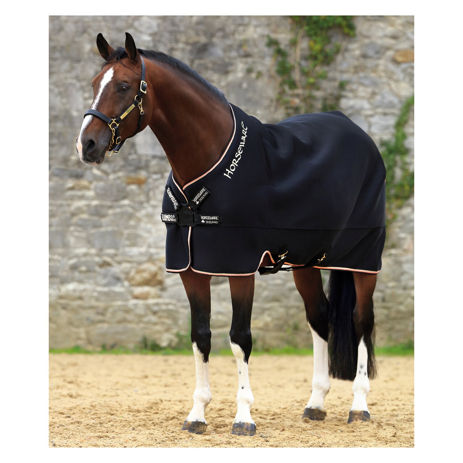 HORSEWARE Abschwitzdecke Rambo Airmax Cooler Disc - black