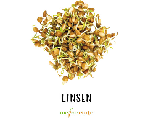 Biologische kiemset, Sprouts, My Harvest 'Kitchen Kick', set van 4