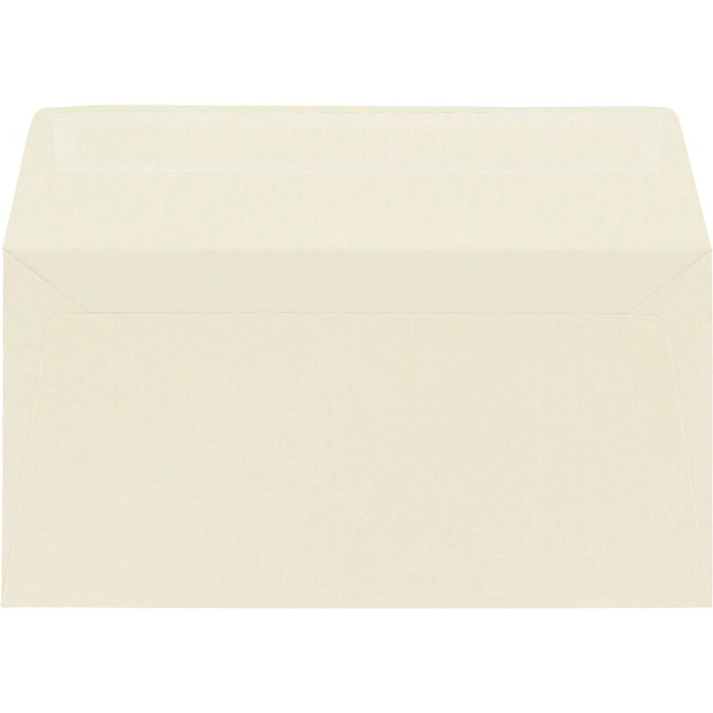 Enveloppe 110 x 220 mm Pollen Clairefontaine 120 g sans fenêtre de couleurs - Paquet de 20