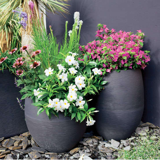 Pot Egg Graphit, anthracite Ø 50 x H. 60 cm