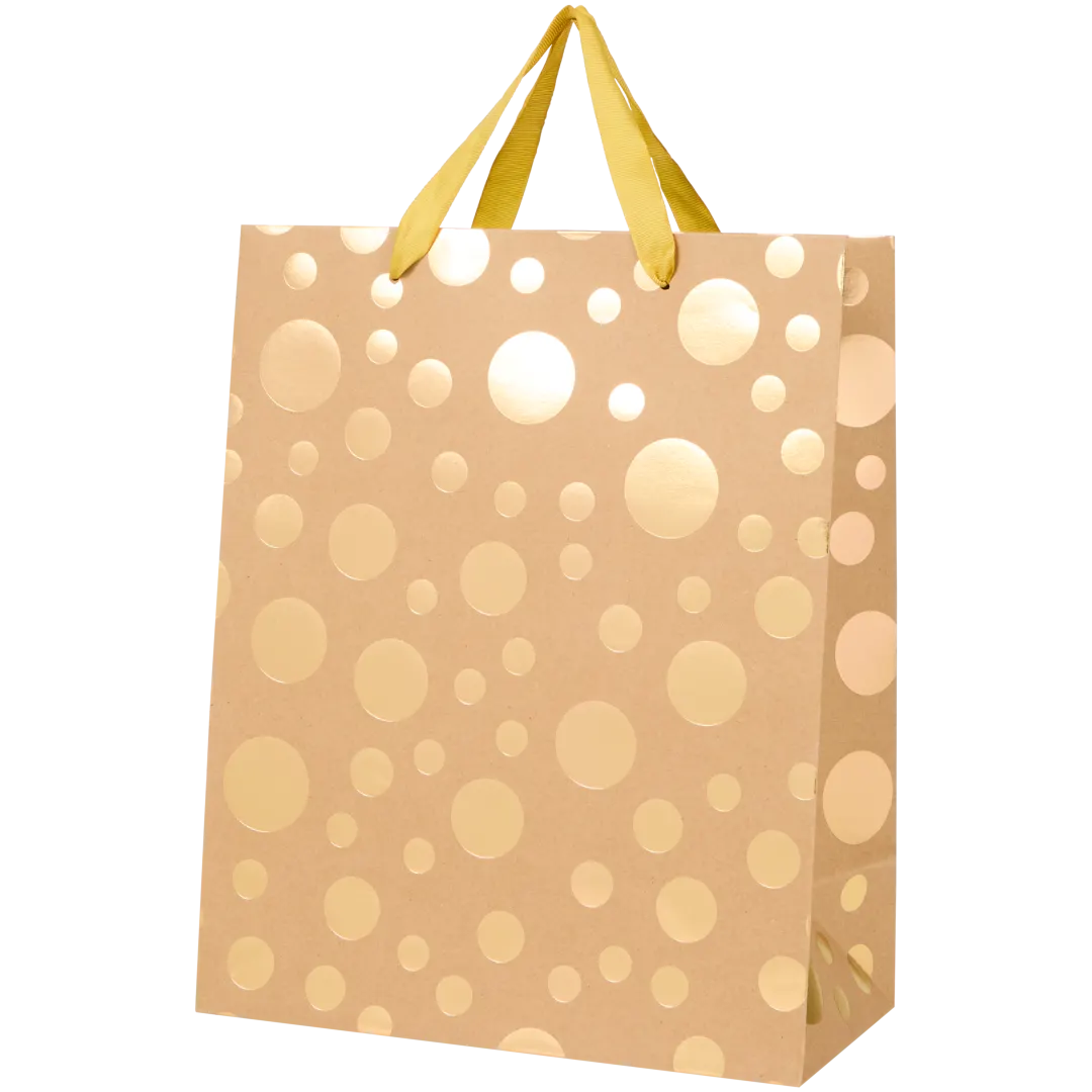Sac cadeau Kraft