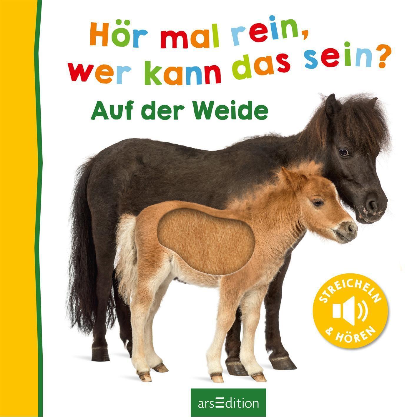 Hör mal rein, wer kann das sein? - Auf der Weide