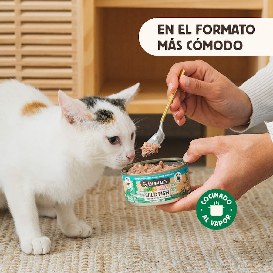 Wild Balance BARF Peixe e Peru em Lata para Gatos