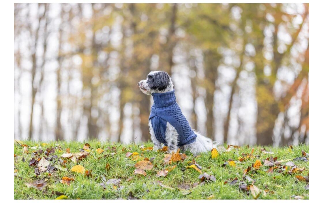 Pullover Norwood XS, 30 cm, DunkelblauHundebekleidung