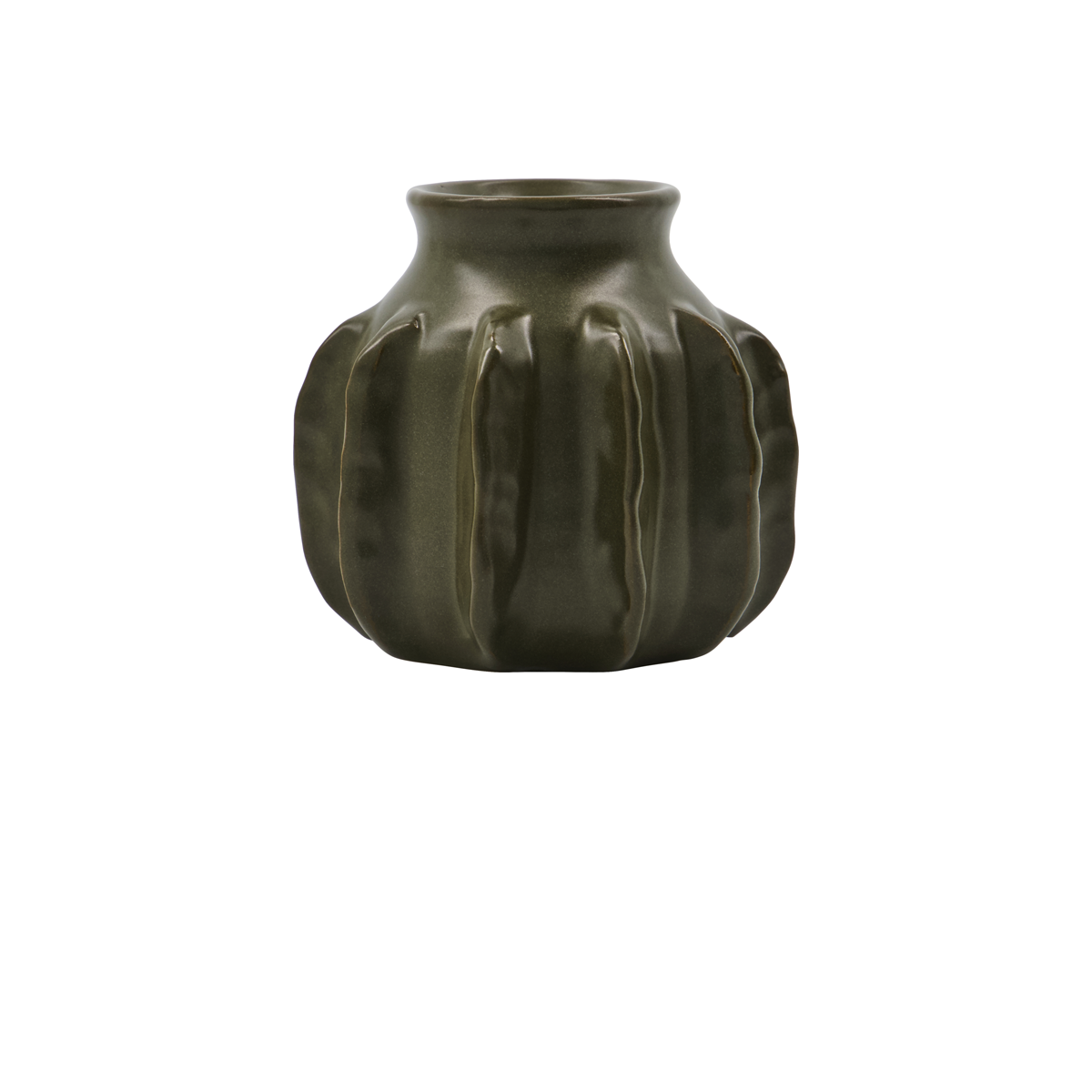 Vaas Cactus M
