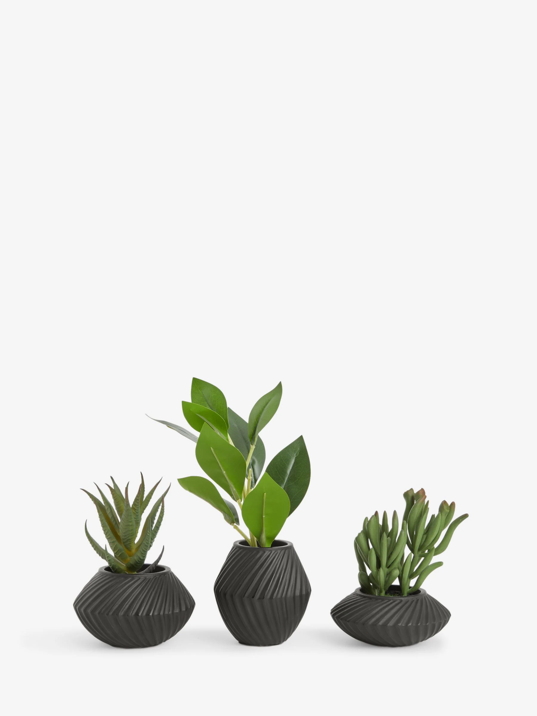 Set of 3 Artificial Succulents In Black Bronx Pots