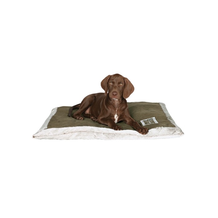 Tapis Best of all Breeds