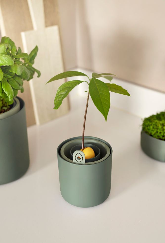 Elho kweekpot Amazing Avocado groen D 12 H 12,1 cm