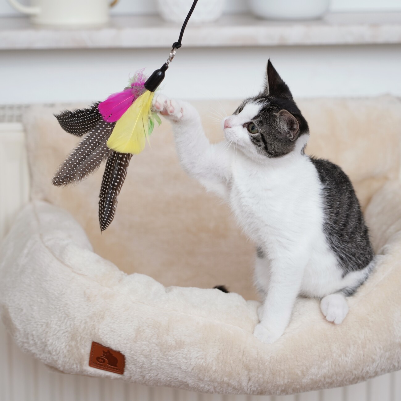 Schlitzohr stabile Katzenangel Arnold