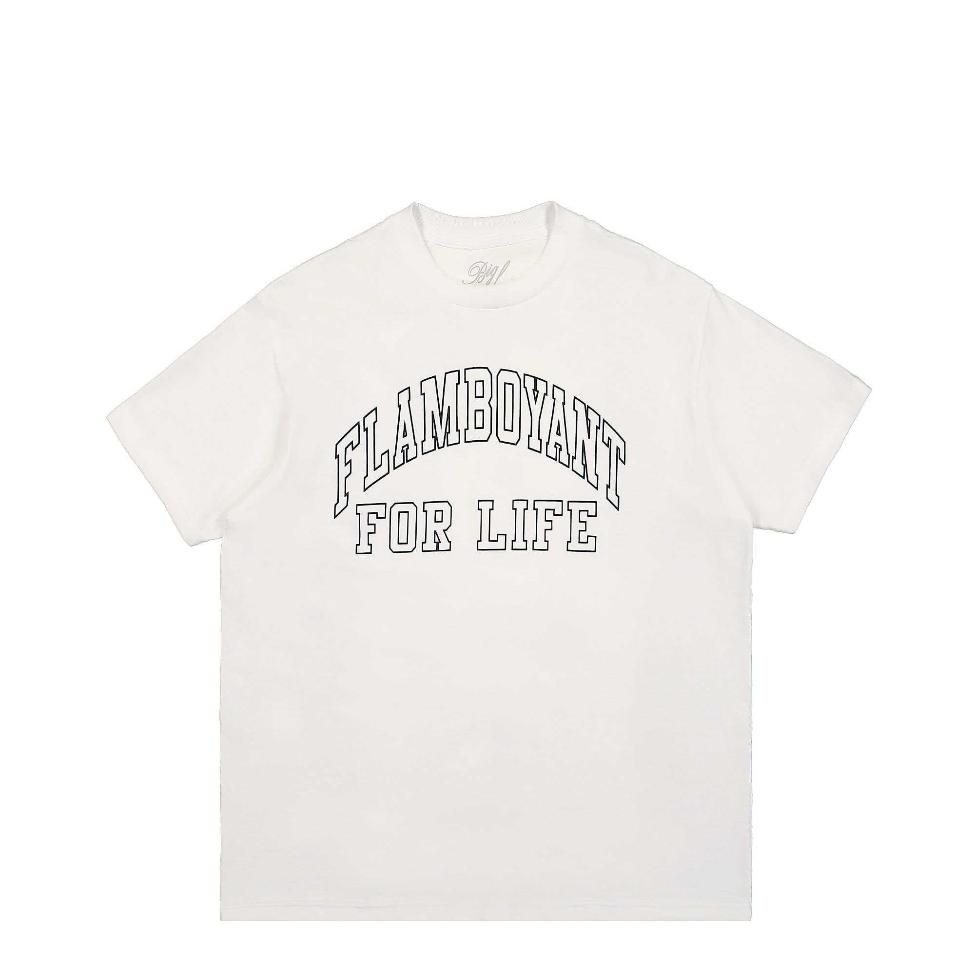 Pleasures<br>Flamboyant T-Shirt