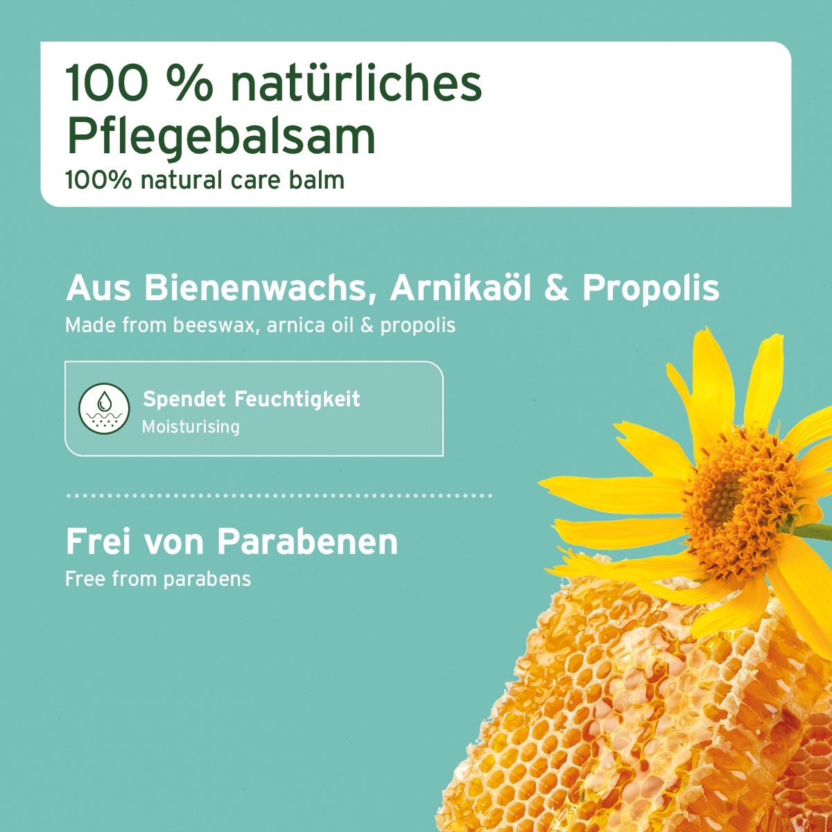 AniForte Pfotenschutz Balsam