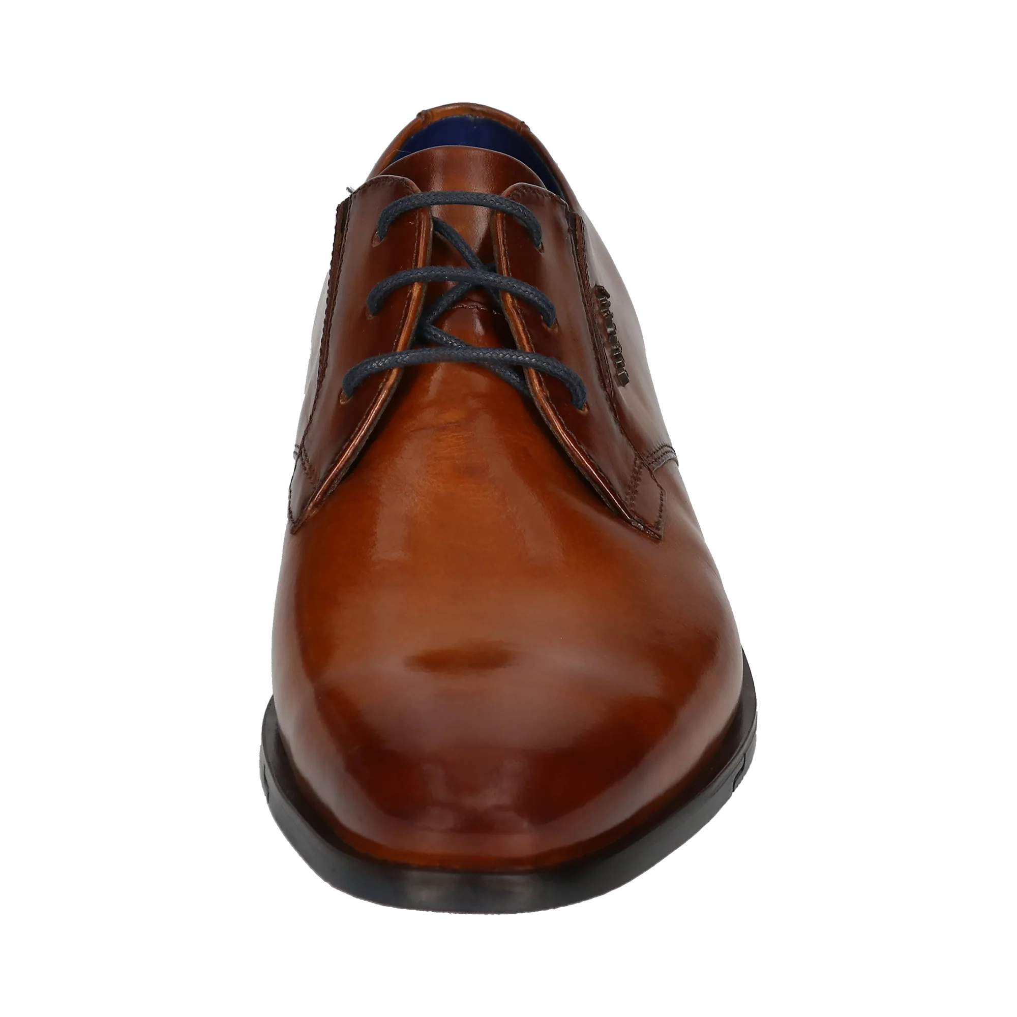 Schnürer cognac