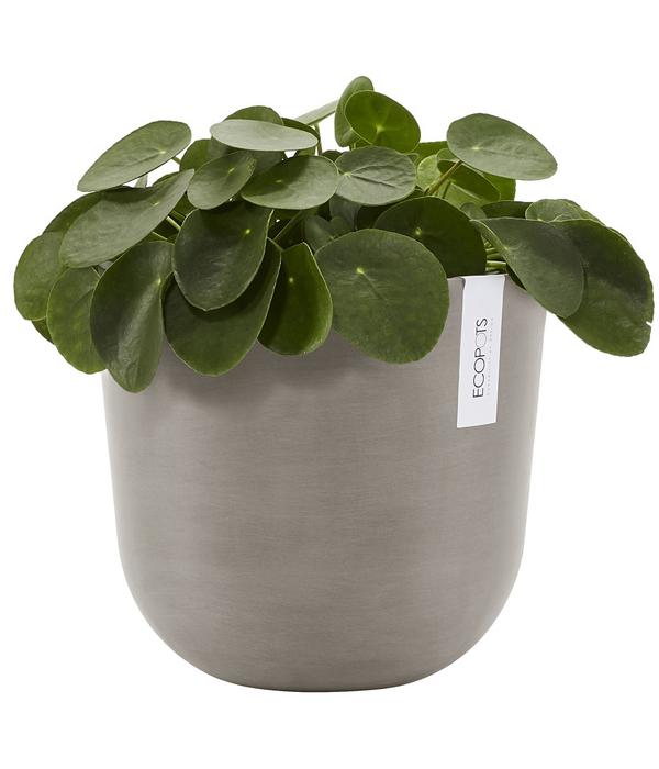 Ecopots Kunststoff-Topf Oslo mit Wassersystem,