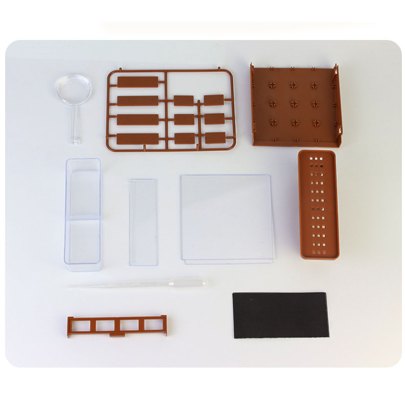 (2-tlg. Set) 17x12cm Interaktives Pflanzen Labyrinth Kinder Lern Experiment DIY Miniatur Garten inkl. Lupe - Braun