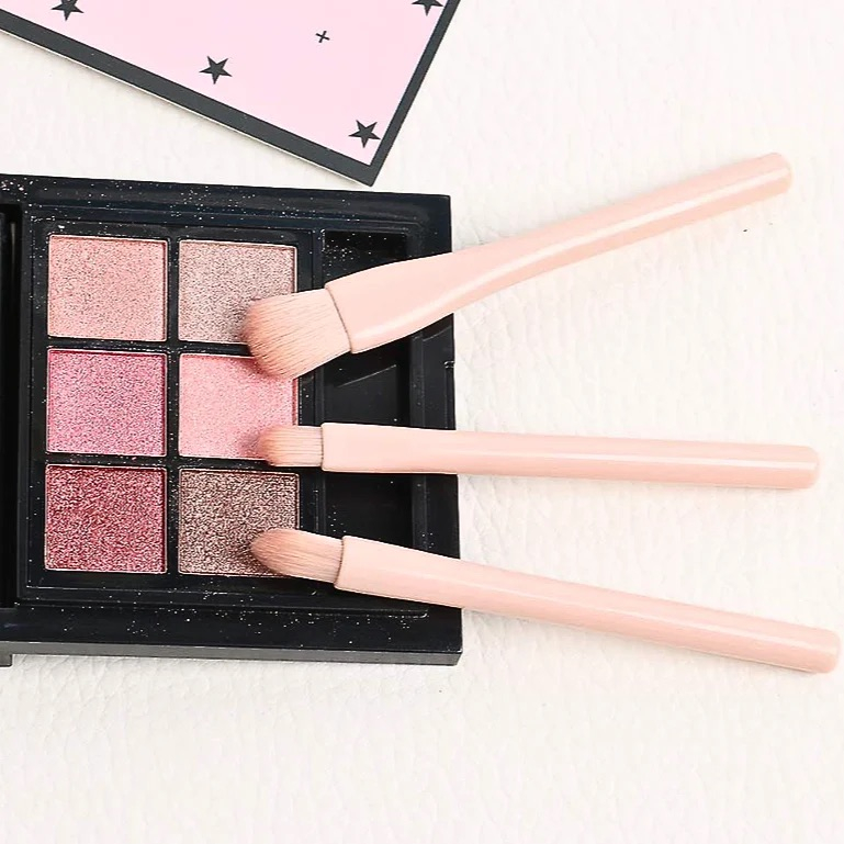 4in1 Make Up Pinsel Set Reise Kosmetik Schminkpinsel mit Deckel - Rosa
