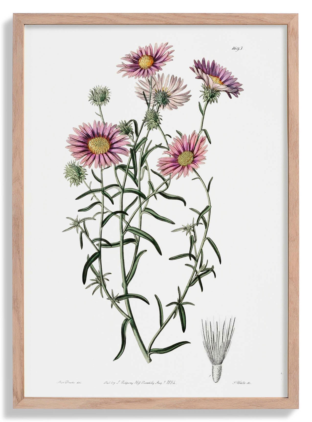Vintage Graue Blume