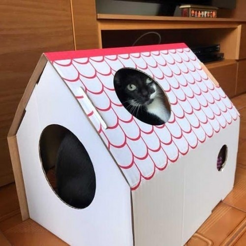 Casinha de papelão branca para gatos da Frankie