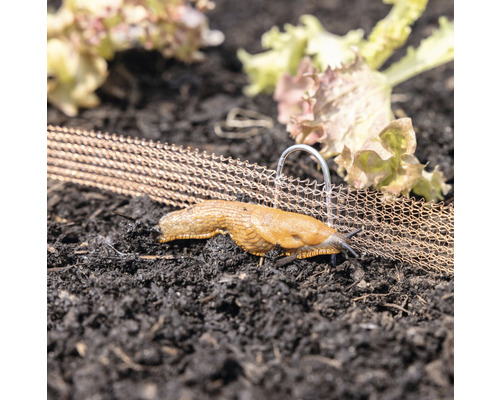 Slakkenhek Windhager, koperen slakkenafweermiddel, 2 cm x 8 m