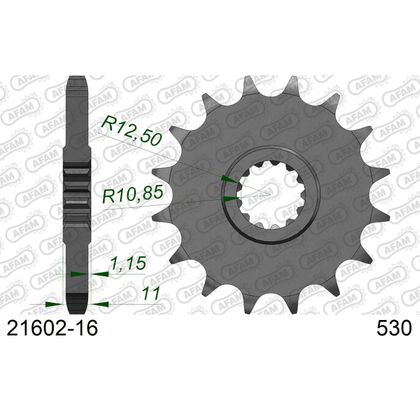 Kit chaine AFAM 530 Type Acier