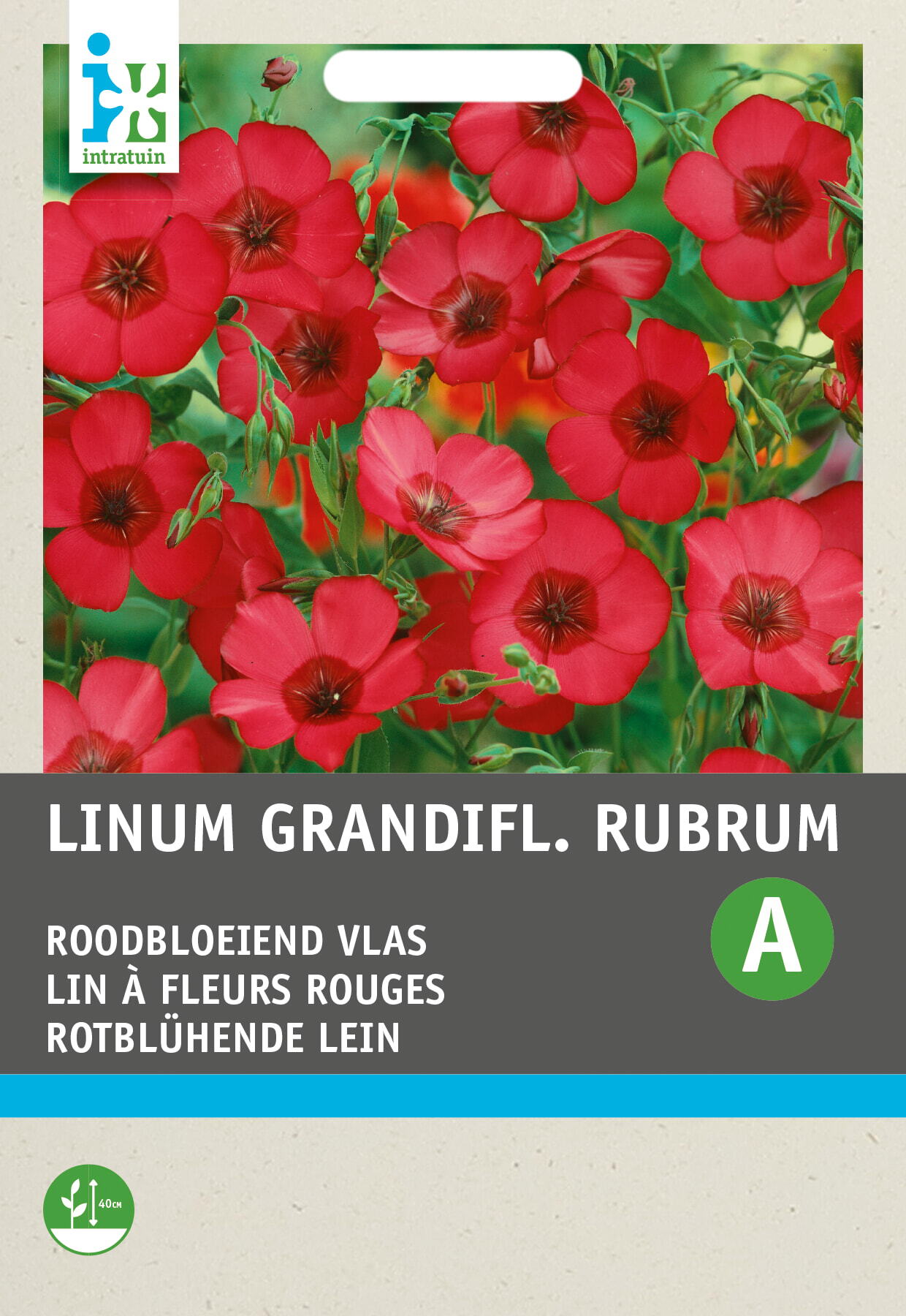 Intratuin bloemenzaad Vlas rood (Linum grandiflorum)