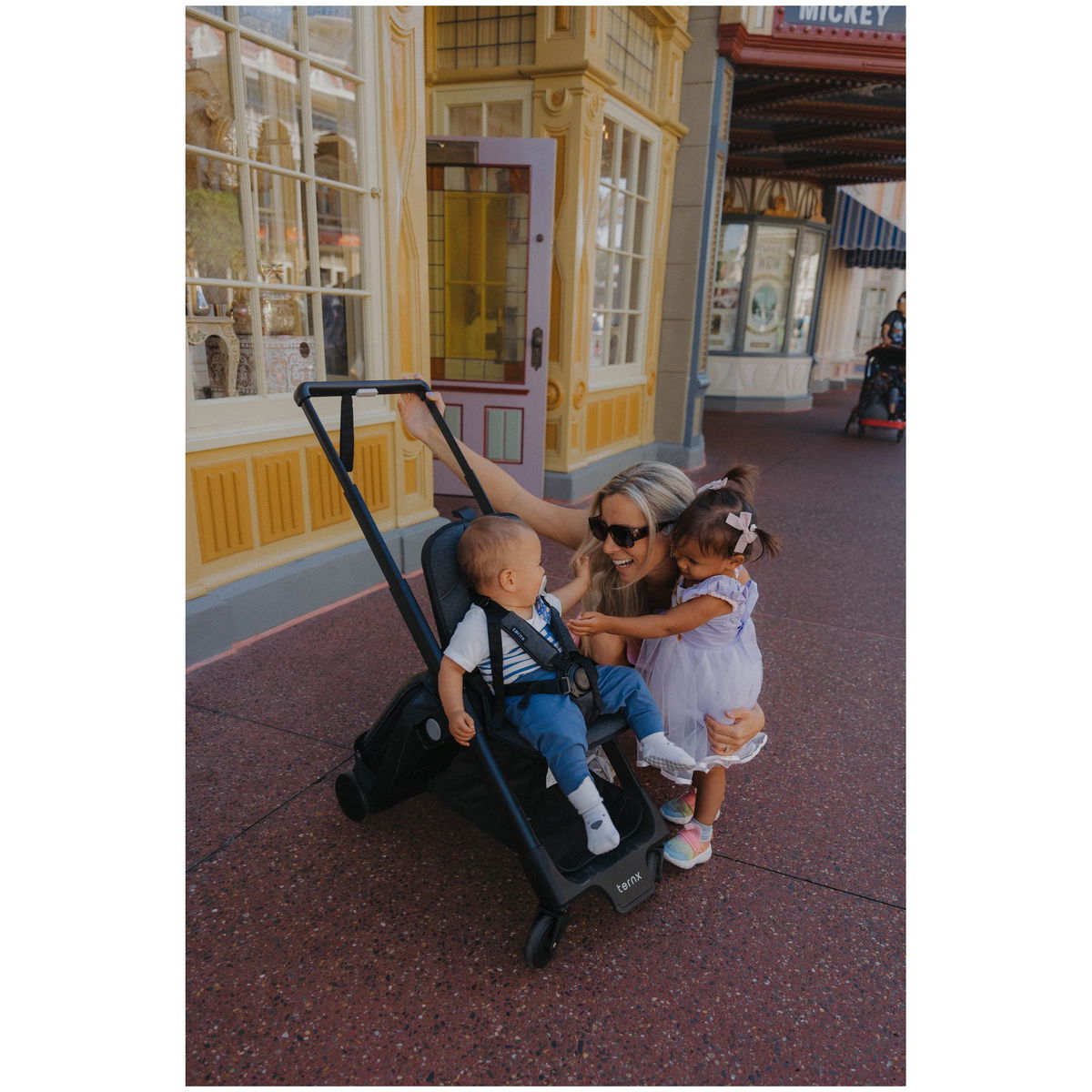 TernXTernX   Carry On Reisekinderwagen