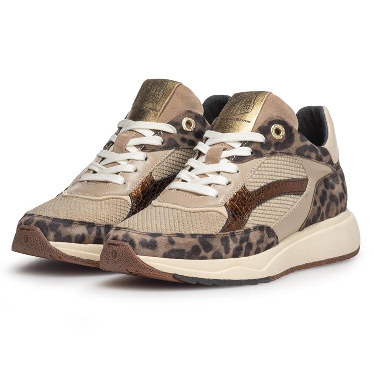 Floris van Bommel SFW-10138 taupe