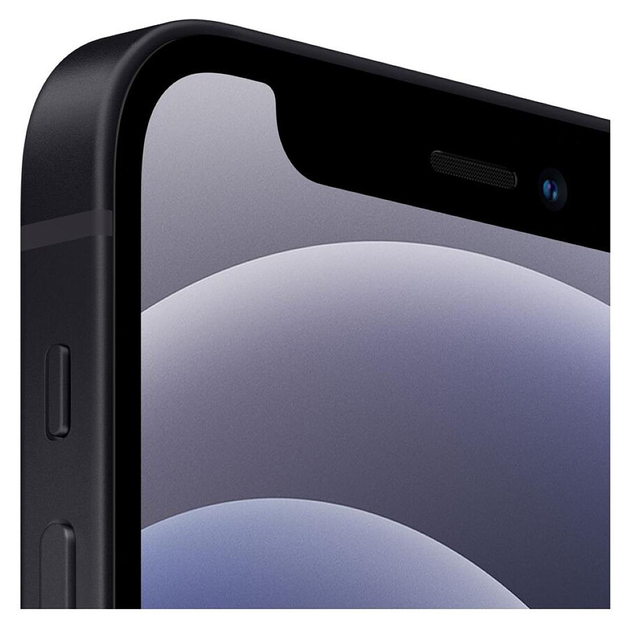 Apple iPhone 12 mini (Noir) - 256 Go · Reconditionné