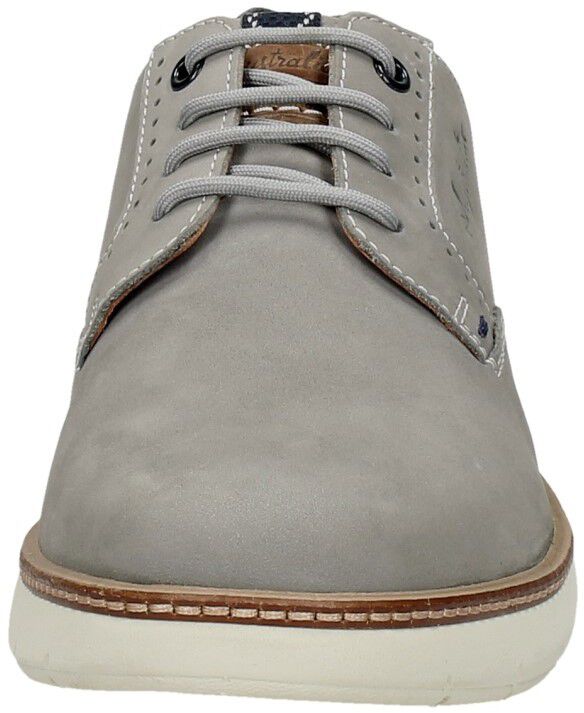 Australian Preston licht grijs
