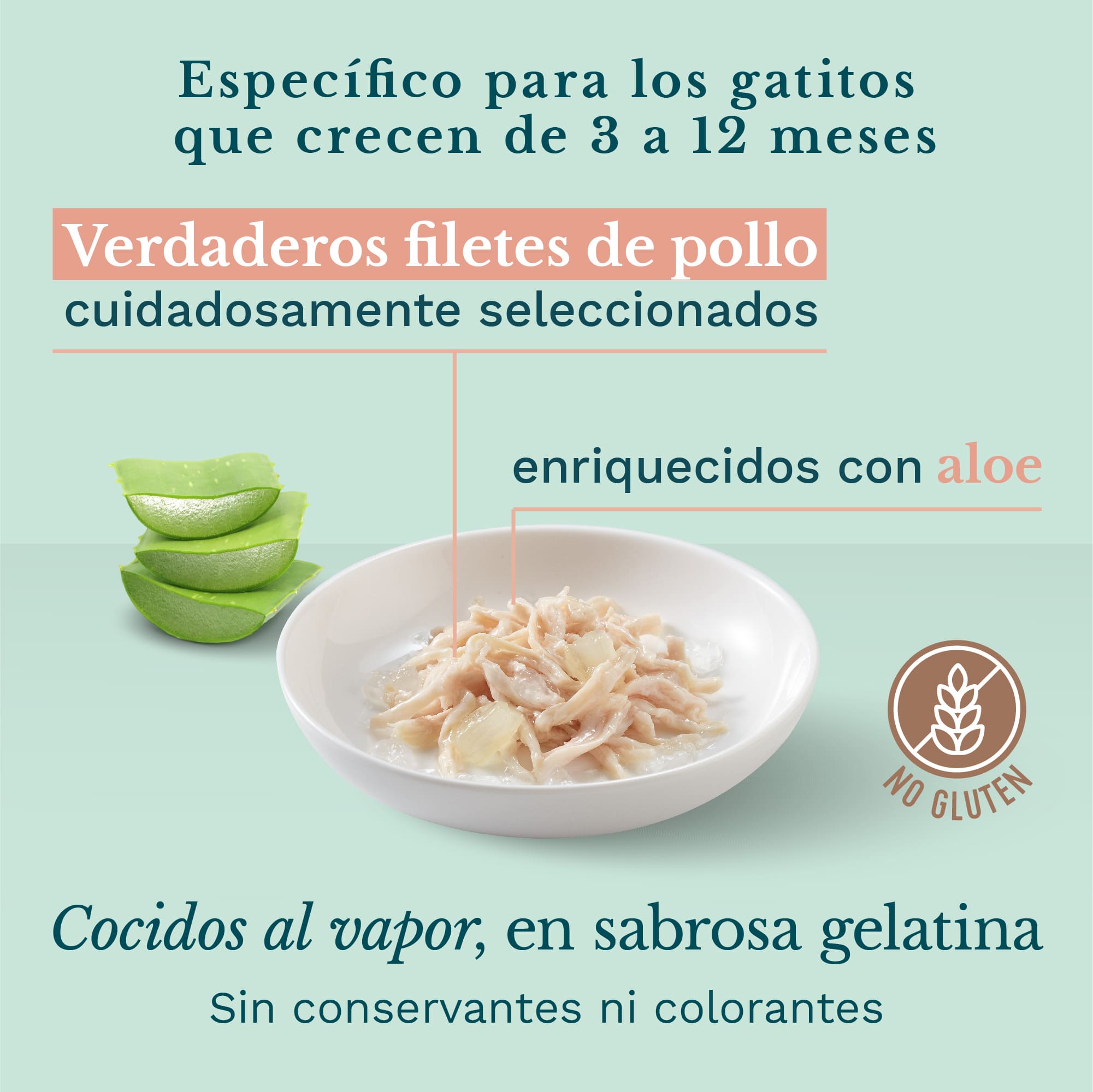 Latas de 85 g de frango com aloe vera da Schesir para gatinhos.