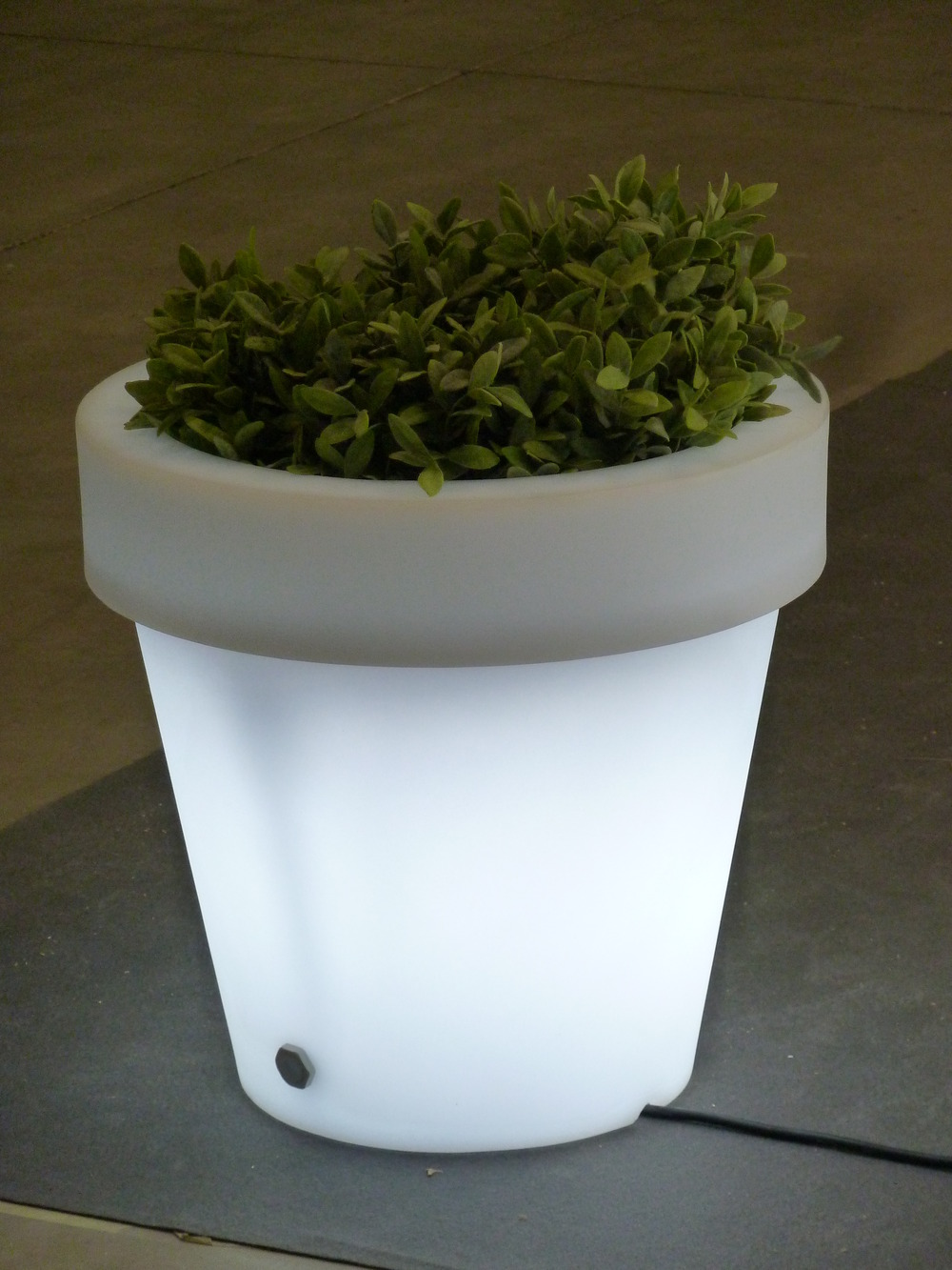 Pot lumineux magnolia 80 lumière blanche froide par câble ø80x76cm