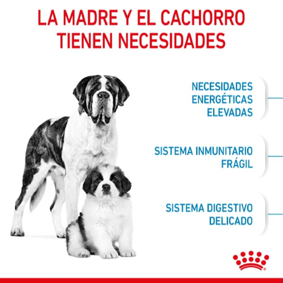 Ração Royal Canin Starter para Filhotes de Cães Gigantes