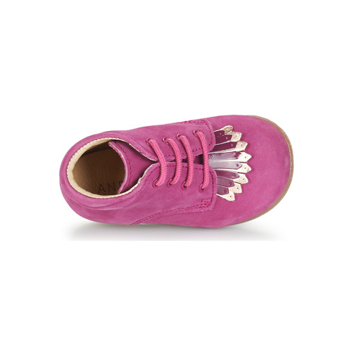 André - LILY - Fuchsia