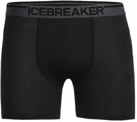 Icebreaker Anatomica Boxers M's