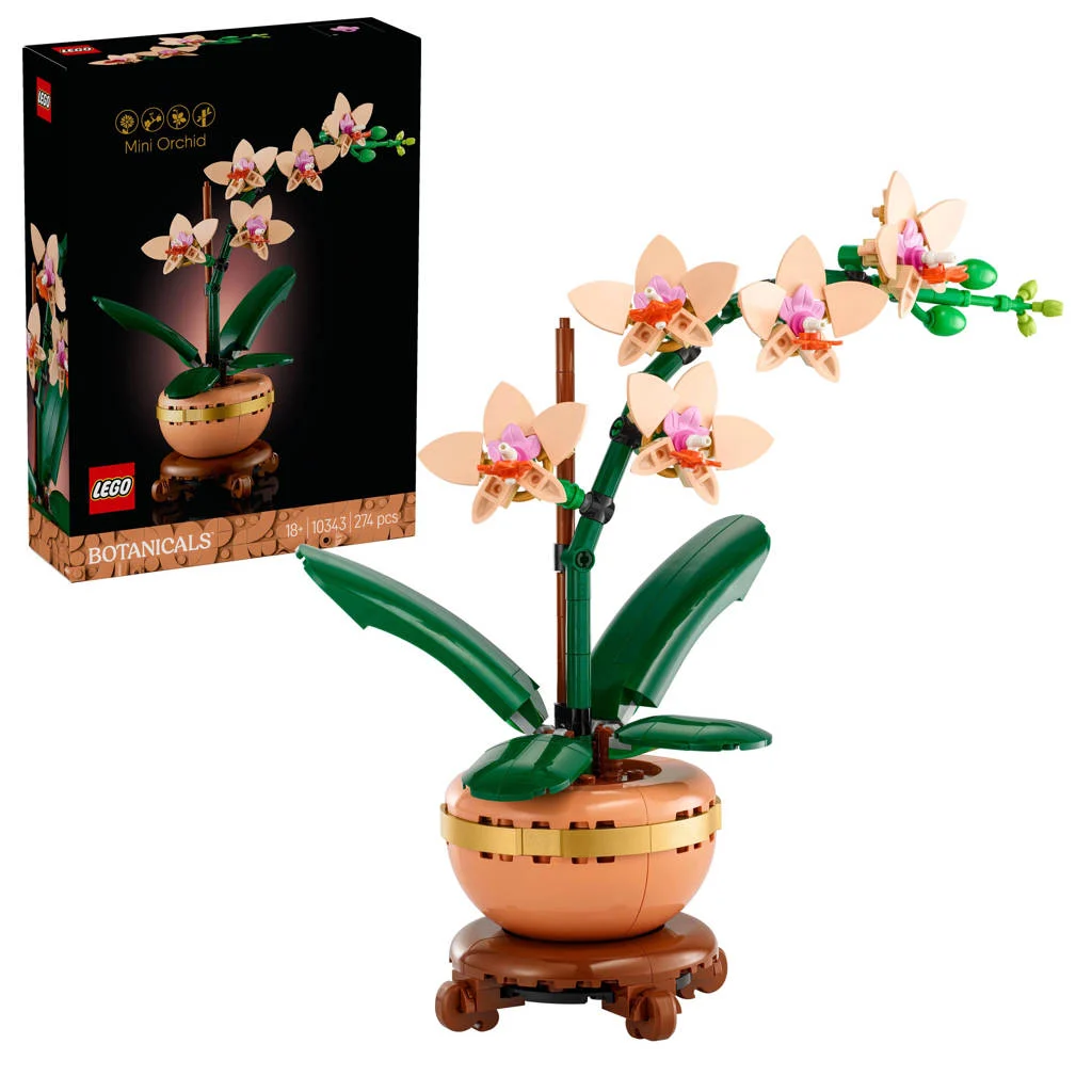 Realistische orchidee, mooi voor in de vensterbankMiniorchidee plantencadeau 10343