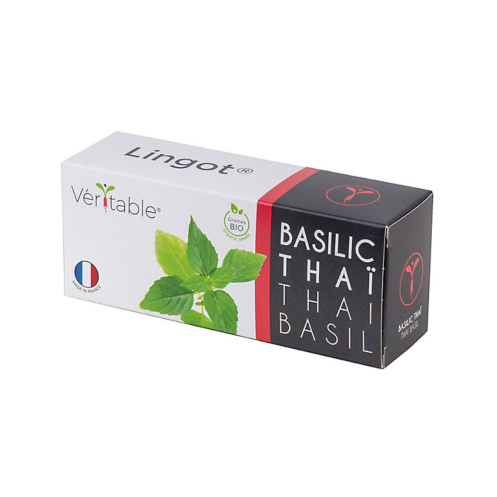 Lingot® Basilic thaï Bio pour potager Véritable®