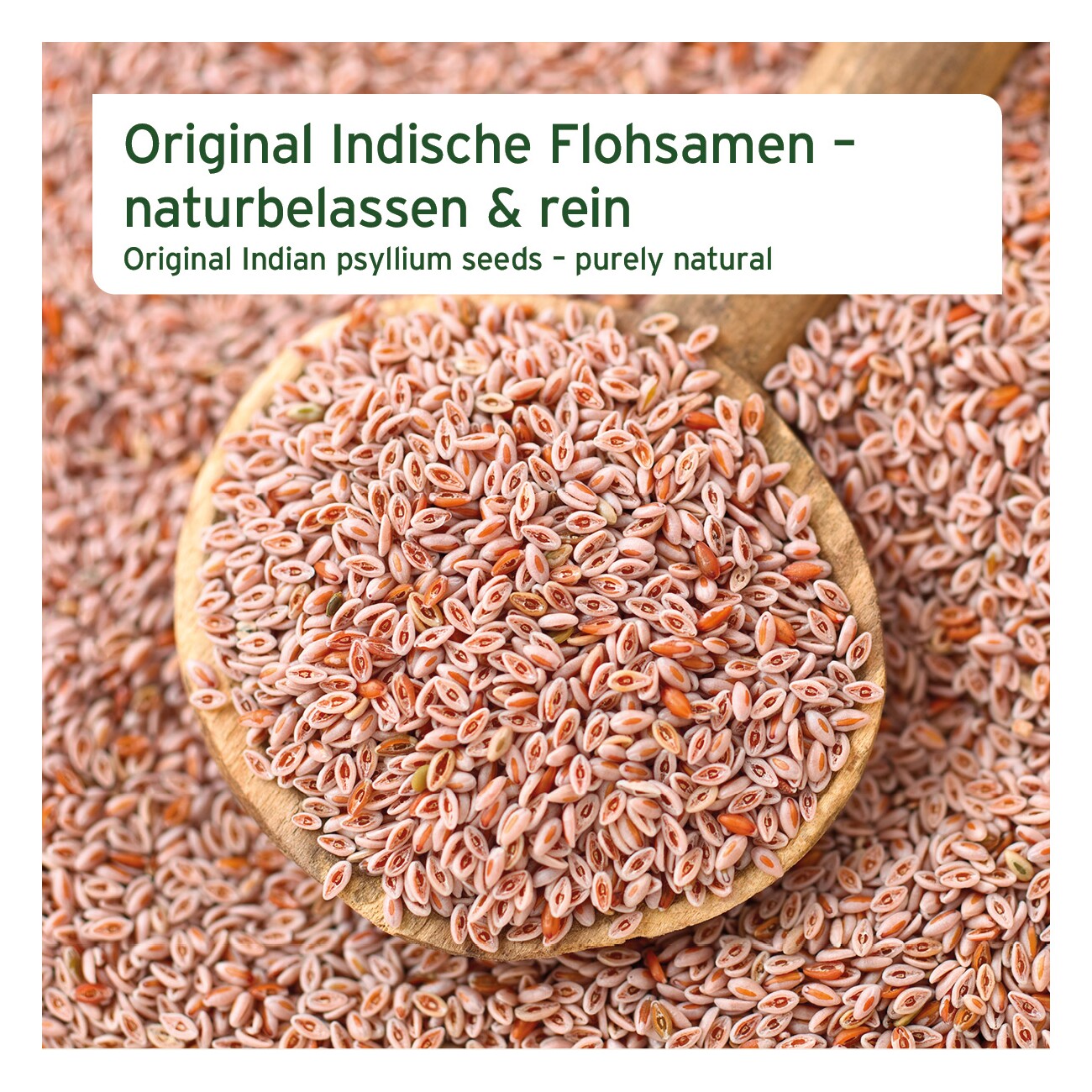 AniForte Indische Flohsamen 1kg